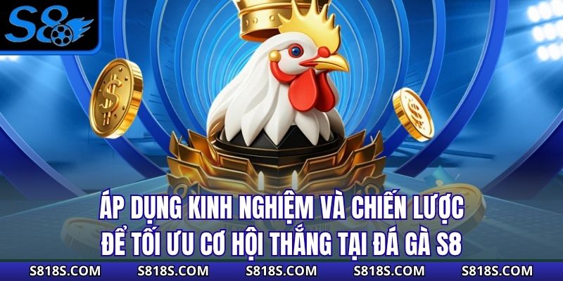 Áp dụng kinh nghiệm và chiến lược để tối ưu cơ hội thắng tại đá gà S8