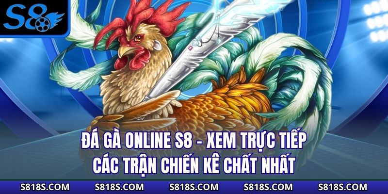 Đá Gà Online S8 - Xem Trực Tiếp Các Trận Chiến Kê Chất Nhất