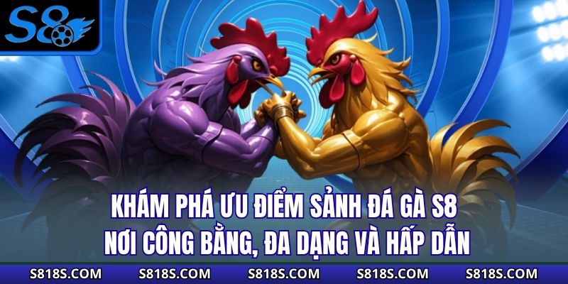Khám phá ưu điểm sảnh đá gà S8 – nơi công bằng, đa dạng và hấp dẫn