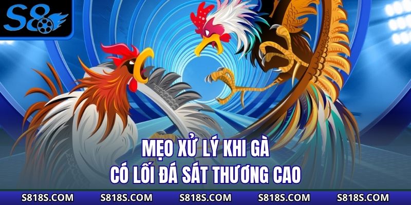 Mẹo xử lý khi gà có lối đá sát thương cao