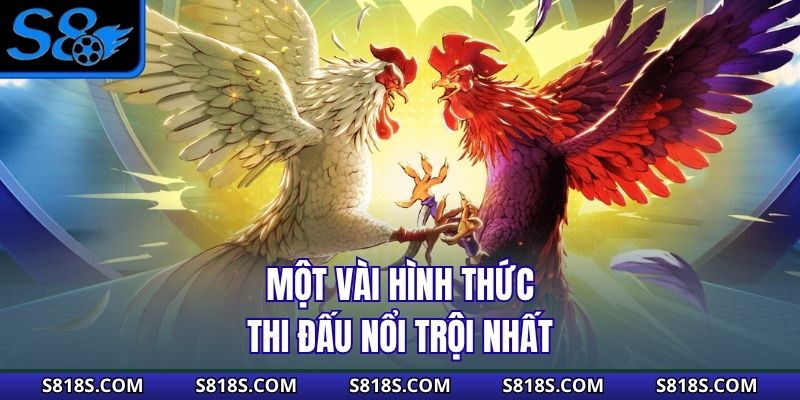 Một vài hình thức thi đấu nổi trội nhất